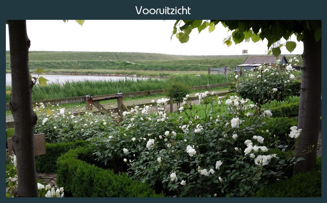 Vakantiewoning Deltahof Ellewoutsdijk Экстерьер фото