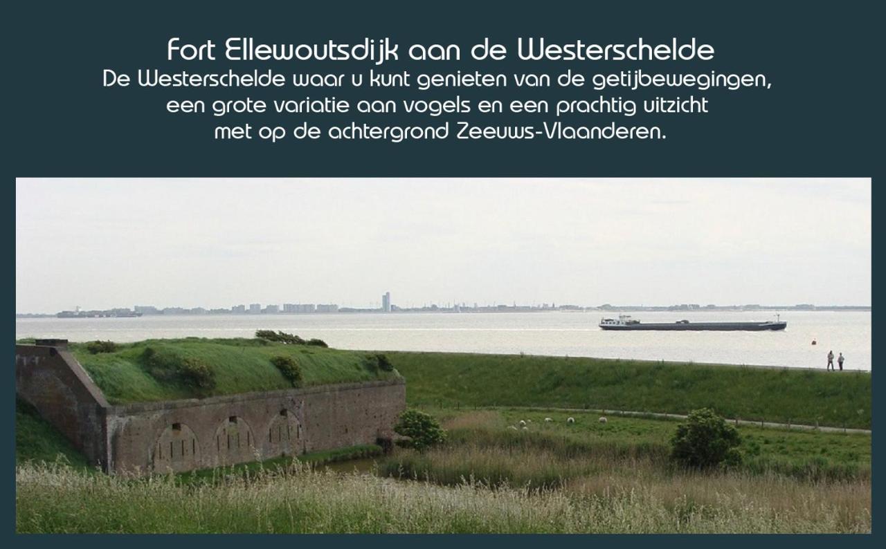 Vakantiewoning Deltahof Ellewoutsdijk Экстерьер фото