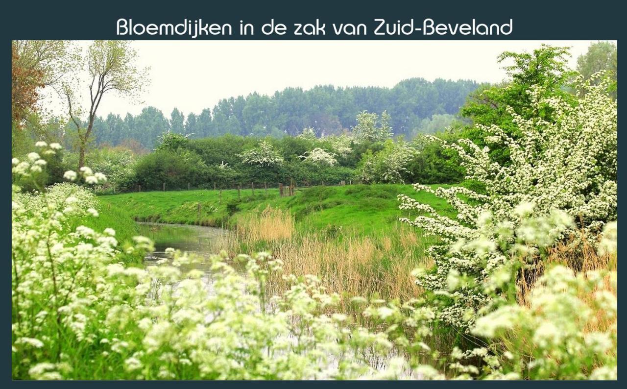 Vakantiewoning Deltahof Ellewoutsdijk Экстерьер фото