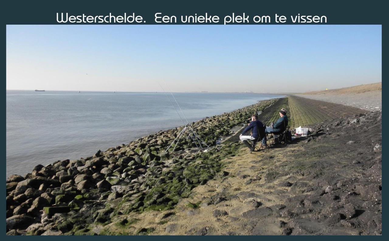 Vakantiewoning Deltahof Ellewoutsdijk Экстерьер фото